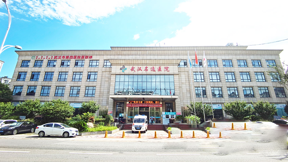 Wuhan Mingyi Tumor Hospital International Alliance